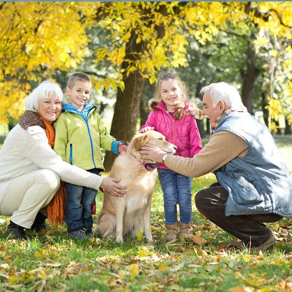 3Pcs Dog Anti Bark Collar,Dog Stop Bark Collar,Electric Shock Bark Control Collar For Dog,1-5 Adjustable Sensitive,Rechargeable - Image 6