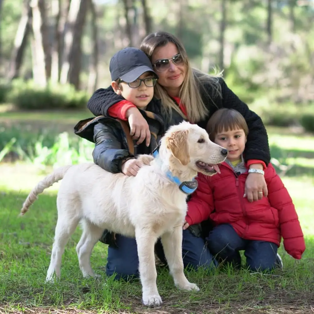 Anti Bark Collar for Dogs Automatic Dog Training Collar with Beep Shock, 5 Training Modes IP65 Waterproof for Small Medium Dogs - Image 6