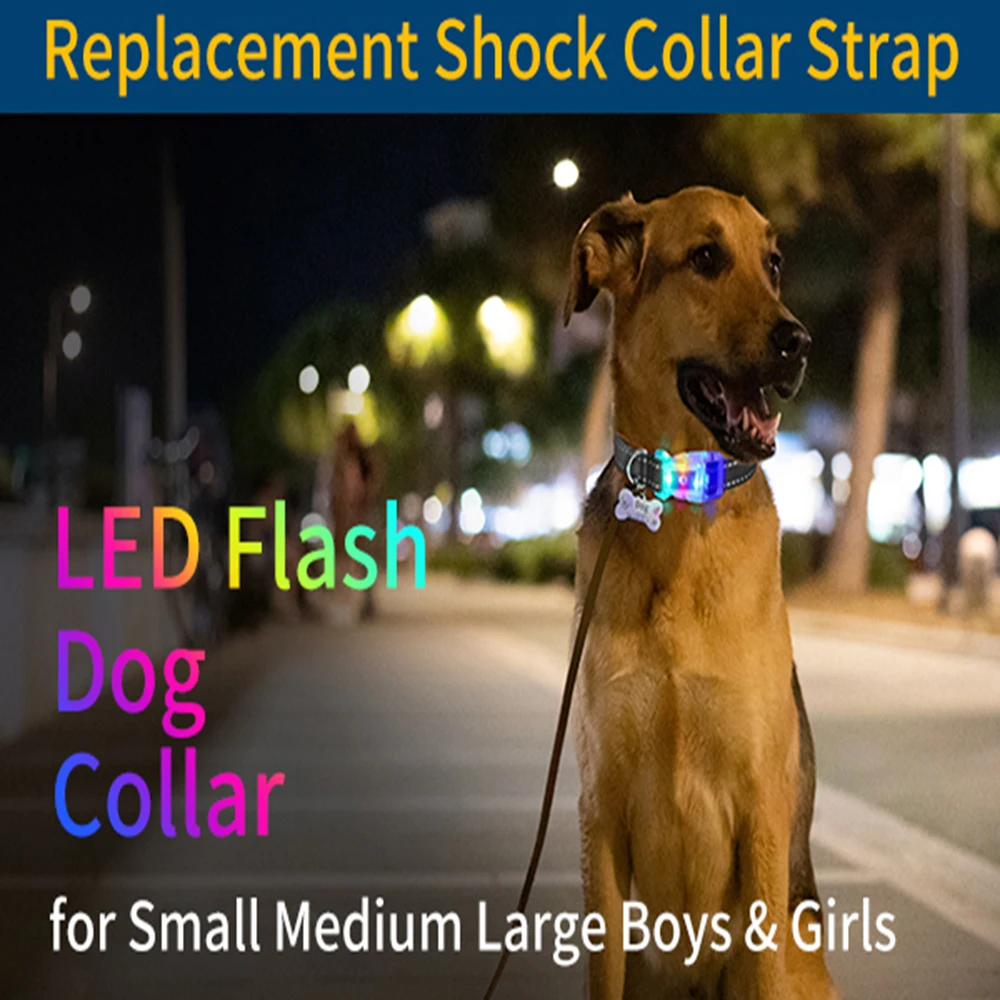 Waterproof Pet Dog LED Light Collar Luminous Anti-Lost Dog Collar USB Rechargeable Dog Necklace Collar for All Stages Dogs - Image 4