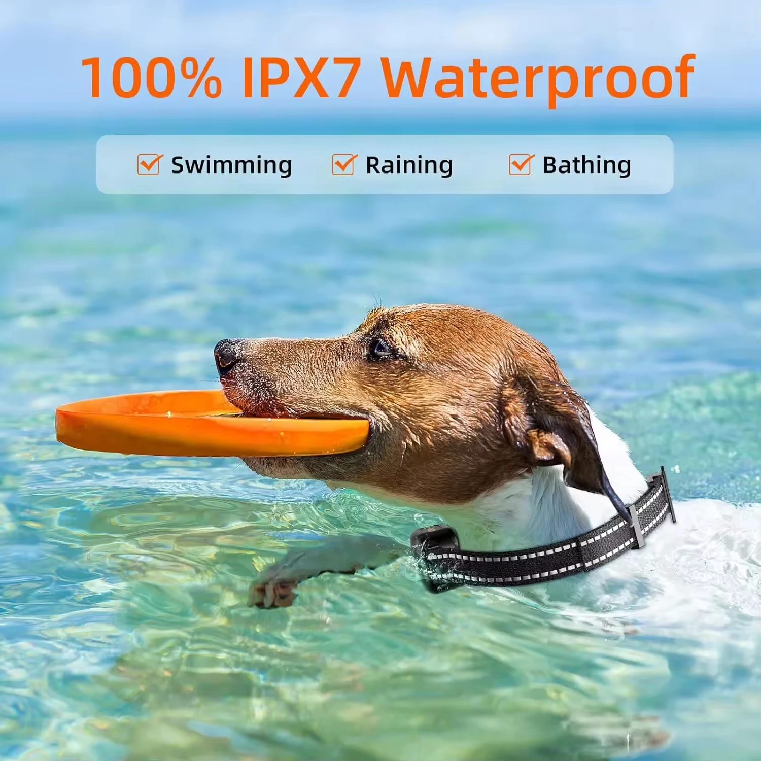 1000m Digital Dog Training Collar Waterproof Rechargeable Remote Control Pet with LCD Display for All Size Shock Vibration Sound - Image 4