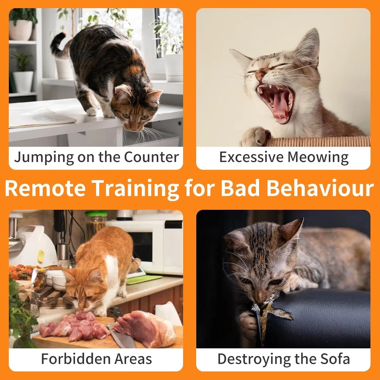 2 IN 1 Auto Anti-Meow and Cat Training Collar, Cat Shock Collar with Remote, Rechargeable Cat Stop Meowing Collar for Pet Cat - Image 3